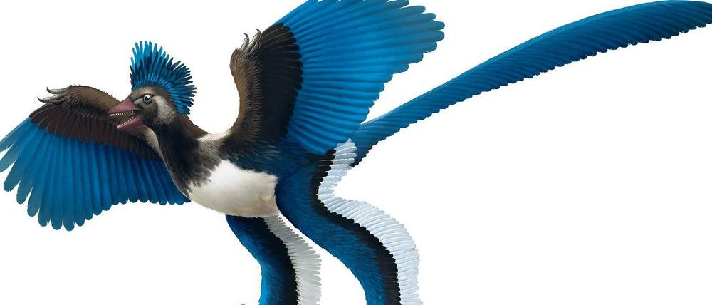 Gefiedert. Der in China entdeckte Saurier war so groß wie ein Huhn. Abbildung: Nature
