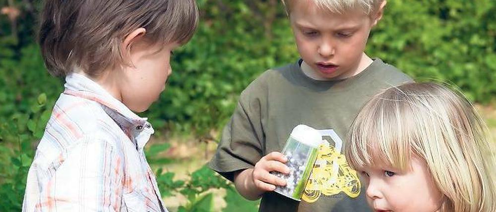 Bitte schön was abgeben. Menschen teilen fast immer halbe-halbe, wenn sie darum gebeten werden: Ein Zeichen für unseren Altruismus. In modernen Gesellschaften können auch schon kleine Kinder die Gedanken anderer verblüffend gut deuten. Foto: Caro