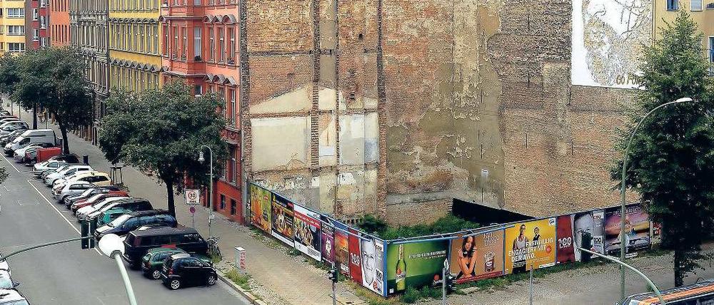 Kubus aus Luft. Mitte der neunziger Jahre wäre hier fast ein Neubau hochgezogen worden. Heute wuchert im ausgeschachteten Baugrund das Grün. 