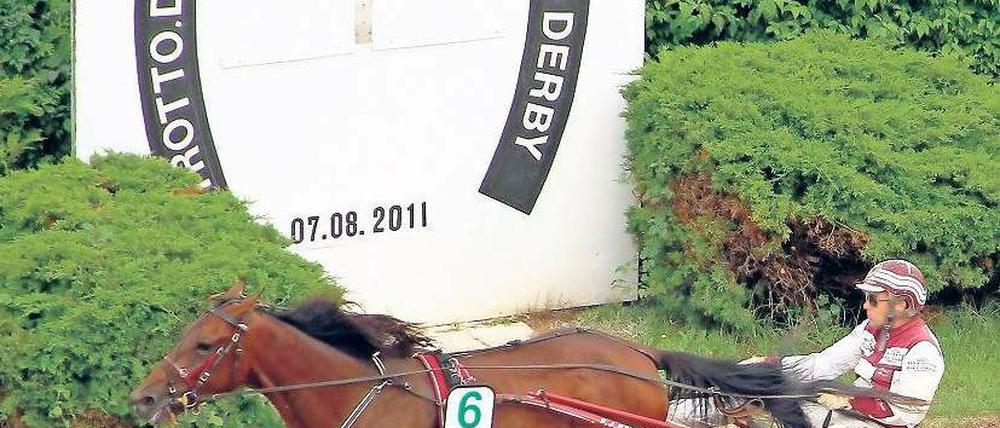 Peter Strooper, 44, gewann am Wochenende mit der Stute Lobell Countess sensationell das Traber-Derby in Berlin. Foto: Imago