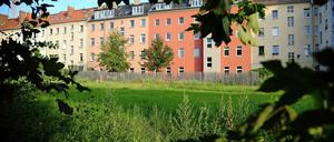 Ein fast vergessener Ort. Grün und Gärten an den Häuserzeilen zwischen Brunnen- und Schwedter Straße sollen weg. Das Land Berlin benötigt das Areal als Mauergedenkort – von ein paar Neubauten einmal abgesehen.