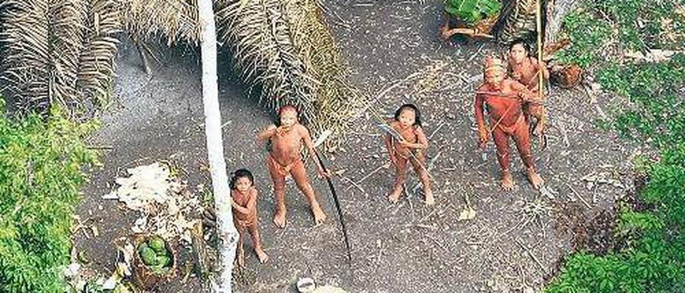 In Bedrängnis. Dieser Stamm indianischer Ureinwohner des Amazonas-Gebietes war 2008 der Weltöffentlichkeit durch diese Luftaufnahmen bekannt geworden. Bewaffnete Drogenbanden haben das Gebiet überfallen, von den Indianern fehlt jede Spur. Foto: AFP