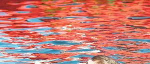 Kopf hoch. Retten muss man lernen. Opfer ziehen ihre Helfer oft unter Wasser.