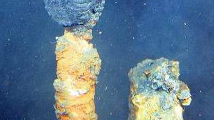 Futterstelle. Aus solchen heißen Quellen strömt unter anderem Wasserstoff, von dem sich die Bakterien ernähren. Foto: NOAA
