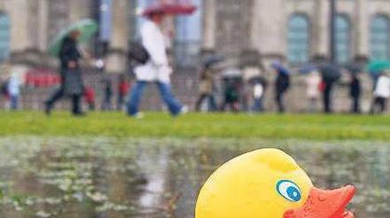 Keine Ente. Der Sommer ist bislang ins Wasser gefallen. Foto: dpa/Tobias Kleinschmidt