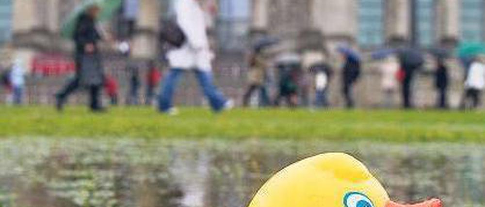 Keine Ente. Der Sommer ist bislang ins Wasser gefallen. Foto: dpa/Tobias Kleinschmidt