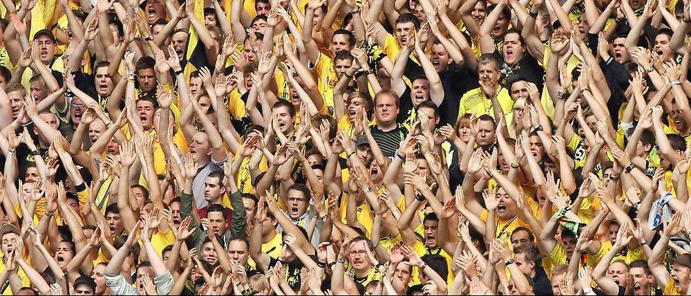 Die Dortmund Fans wurden während des Spiels gegen den TSG Hoffenheim am Samstag mit Störgeräuschen belästigt.