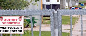 Auf der Hühnermastanlage in Bülstringen im Landkreis Börde sind nach einem Stromausfall 117.000 Hühner verendet.