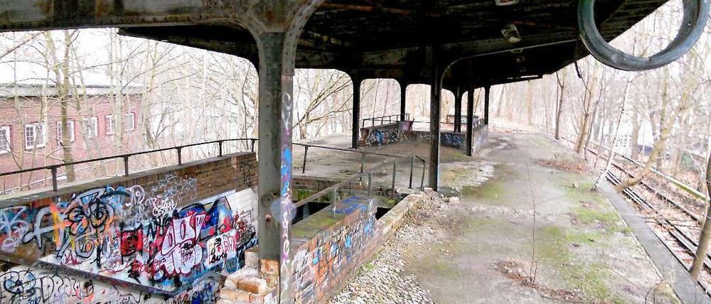 Ein paar Sprüher haben sich am Bahnhof Siemensstadt ausgetobt. Irre viel ist aber erhalten - auch die Treppen hinab zum Rohrdamm.