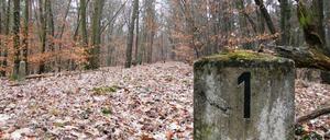 Willkommen an der Friedhofsbahn: Sie führte bis zum Mauerbau von Wannsee zum Südwestkirchhof in Stahnsdorf. Länge: 4 Kilometer. Wer stadtauswärts rechts aus dem Regionalexpress schaut, dem dürfte eventuell auffallen, dass plötzlich eine Böschung sich erhebt - das war die Trasse für die S-Bahn, die dann in den Wald hinein fuhr. Die Trasse ist auch heute noch gut zu erkennen, auch unter Laub und Moos.
