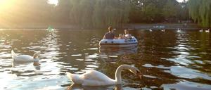 Entspannen auf dem Landwehrkanal. Haben Sie auch schöne Momentaufnahmen aus Kreuzberg? Dann schicken Sie uns Ihre Bilder an leserbilder@tagesspiegel.de!