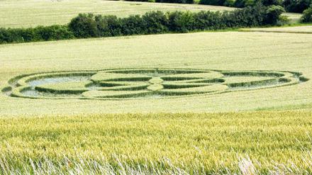 Ein Kreis im Kornfeld. Auf dem flachen Land blühen die Verschwörungstheorien.