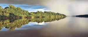 Natur pur. Google plant, dass Internetnutzer sich künftig virtuell auf dem Amazonas und seinem Nebenfluss, dem Rio Negro, treiben lassen können. Dafür fotografieren die Mitarbeiter des US-Konzerns nicht nur die Flüsse, sondern auch die Siedlungen an ihren Ufern und die angrenzenden Regenwälder.