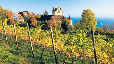 Goldener Herbst am Bodensee. Die Weinberge reichen bis hinunter ans Wasser, wie hier bei Meersburg. Foto: picture-alliance