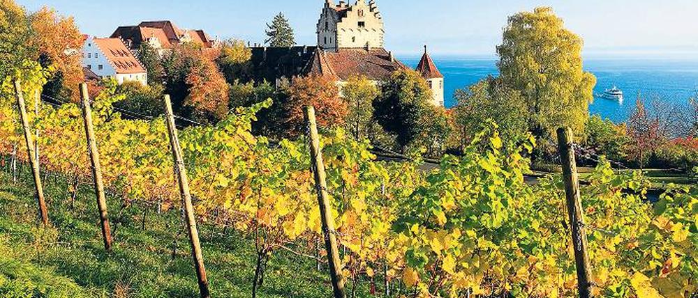 Goldener Herbst am Bodensee. Die Weinberge reichen bis hinunter ans Wasser, wie hier bei Meersburg. Foto: picture-alliance