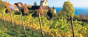 Goldener Herbst am Bodensee. Die Weinberge reichen bis hinunter ans Wasser, wie hier bei Meersburg. Foto: picture-alliance