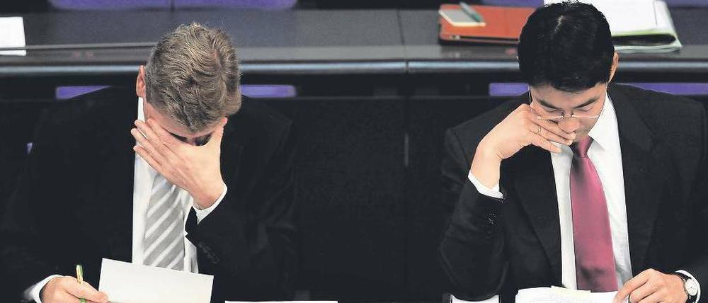 Wer hilft wem und wie? Außenminister Westerwelle und Wirtschaftsminister Rösler denken beim Stichwort Rettungspaket möglicherweise nicht nur an Griechenland. 