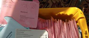 Diese 379 Briefwahlumschläge landeten im Müll.