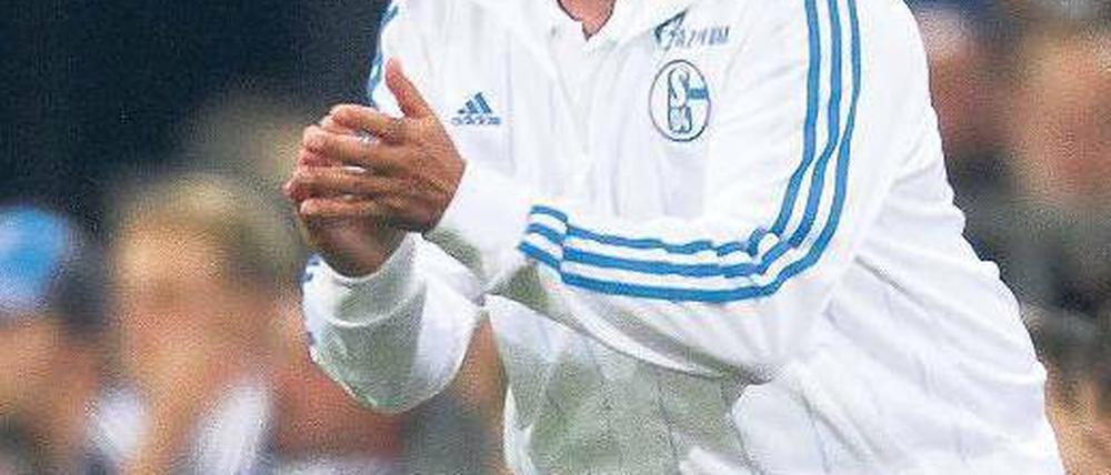 Wer bekommt die nächste Klatsche? Huub Stevens trifft jetzt auf den HSV. Foto: dapd