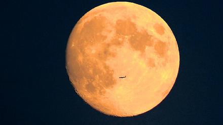 Foto: dpa