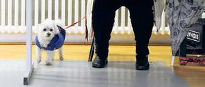 Gewählt, gezählt? In manchen Bezirken konnten sich Bürger nicht sicher sein, dass ihre Stimme ins Wahlergebnis einging.