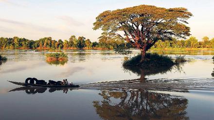 Lebensader Mekong. Die Einheimischen nutzen ihn für Warentransporte. Touristen lassen sich auf dem Fluss treiben, einfach so zum Spaß. 