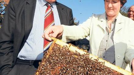 Honig für Staatsgäste. Kretschmann und Hobby-Imkerin Gisela Splett. Foto: dpa
