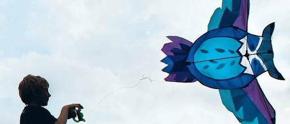 Herrscher der Lüfte. Einleiner, Mehrleiner, Lenkdrachen, Kampfdrachen, Aeroskulpturen – beim Drachen steigen lassen gibt es nichts, was es nicht gibt. Foto: Klaus-Dietmar Gabbert/dapd