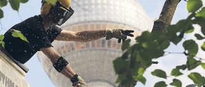 Kreischende Motorsägen. Auch am Alexanderplatz müssen brüchige Äste eines Baumes weichen. 