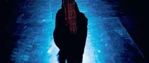 Zukunft? Ein Schatten bleibt, wie immer auch es mit „Wetten, dass..?“ weitergeht. Foto: dpa