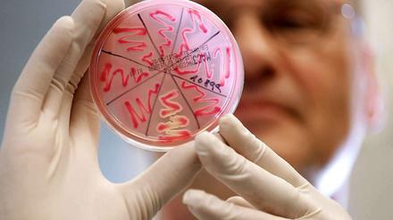 Die Biologie wird zur Technologie. Und diese Technologie kann jede Ideologie für sich nutzen
