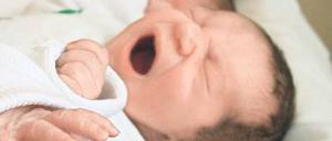 Geschafft. Diese Neugeborenen haben den Start ins Leben gut überstanden. 