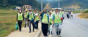 Los geht’s. Früh aufstehen, stundenlang schuften, auf harten Matten schlafen – das nahmen die Freiwilligen in Japan in Kauf. 