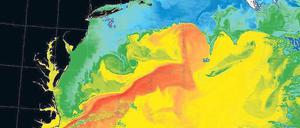 Wärme aus der Karibik. Die Satellitenaufnahme zeigt, wo der Atlantik vor der US-Ostküste besonders warm (rot) ist. Foto: AFP/Nasa