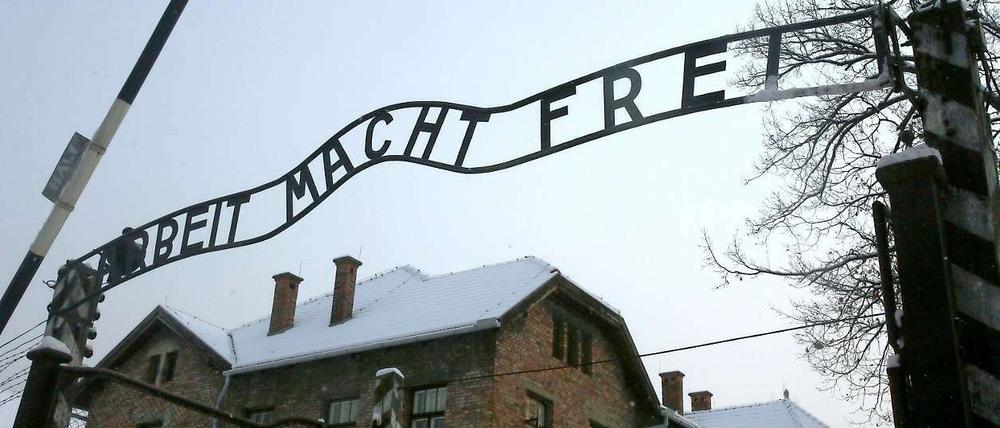Die Berichte der Zeitzeugen lassen den Schrecken des Holocaust nicht in Vergessenheit geraten.