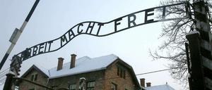 Die Berichte der Zeitzeugen lassen den Schrecken des Holocaust nicht in Vergessenheit geraten.