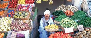 Mühsames Geschäft. Der Gemüsehändler in Hurghada leidet wie viele seiner Kollegen: hohe Preise, wenig Kundschaft. 