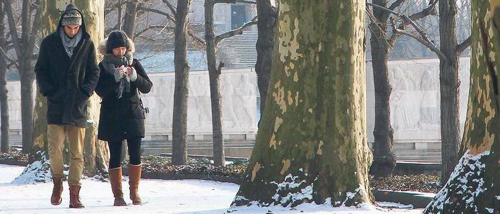 Unter Platanen. Im Treptower Park bestäubte eine dünne Schneeschicht am Sonntag die Alleen und das sowjetische Ehrenmal.