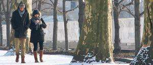 Unter Platanen. Im Treptower Park bestäubte eine dünne Schneeschicht am Sonntag die Alleen und das sowjetische Ehrenmal.