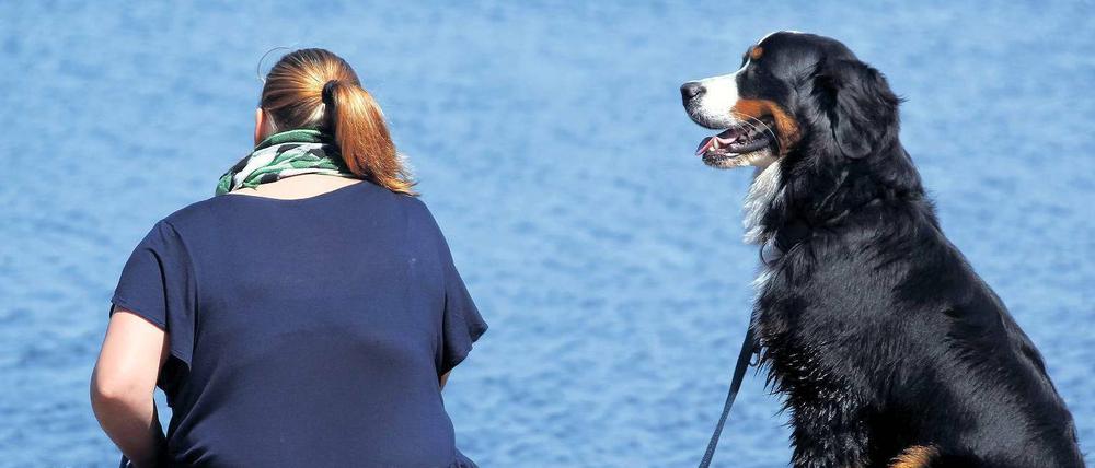Nicht allein. Wer geschnitten wird, dem verhilft die Gegenwart eines Hundes zu einem besseren Selbstwertgefühl. Foto: p-a/dpa