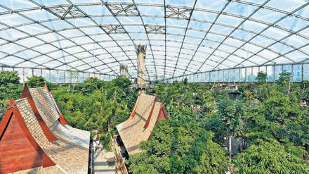 Gondwanaland Leipzig: Der Zoo in Leipzig gilt als einer der modernsten Tiergärten der Welt.