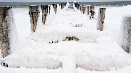 Winter auf sibirisch. Vereiste Buhnen stehen nach dem Dauerfrost der vergangenen Tage an der Ostsee in Zingst auf dem Darß.