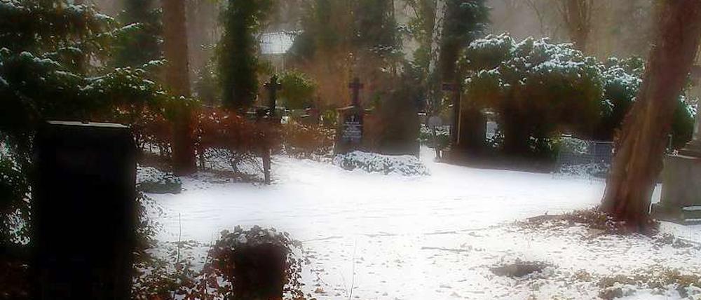 Der St. Hedwig-Friedhof in Berlin-Mitte.