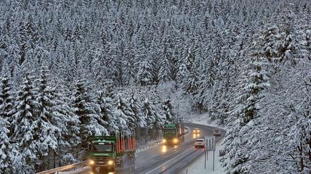 Eine Straße führt durch einen von Schnee bedeckten Wald. 