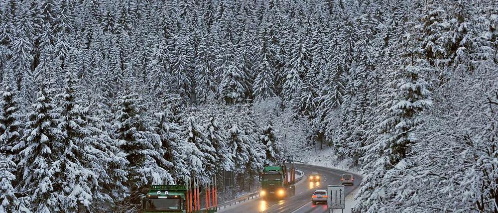 Eine Straße führt durch einen von Schnee bedeckten Wald. 