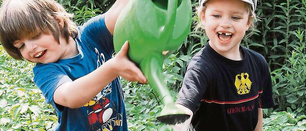 In Gartenarbeitsschulen lernen die Kinder, wie sich die Pflanzen von der Saat bis zur Ernte entwickeln.