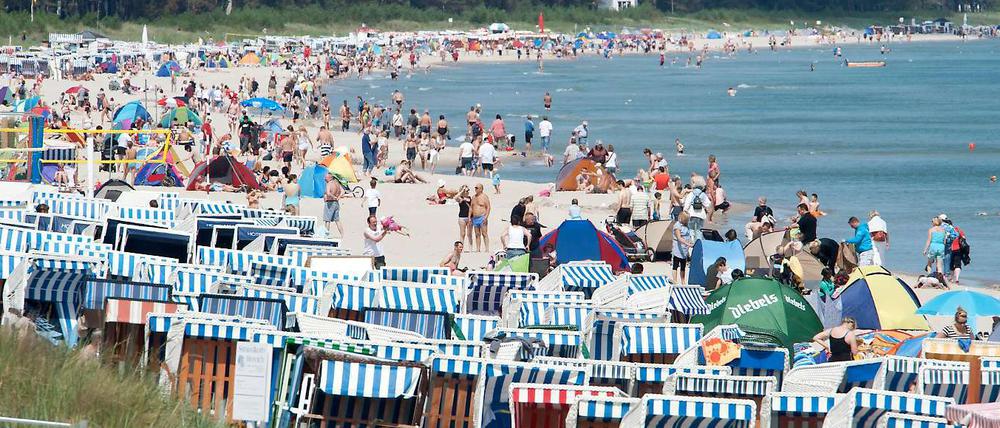 Irgendwo in diesem Bild könnte ein ein großes Fußballtalent versteckt sein.