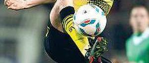 Einer trifft immer. Robert Lewandowski, Dortmunds polnischer Torjäger. 