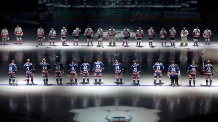 Viel Auswahl. Die Eisbären suchen den neuen Ustorf.