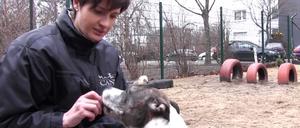 Auf mein Kommando. Simone Laube arbeitet mit Hunden, von schwer erziehbar bis Schoßhund. 